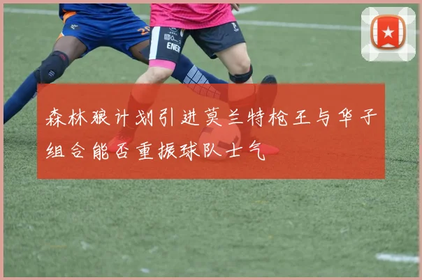 森林狼计划引进莫兰特枪王与华子组合能否重振球队士气