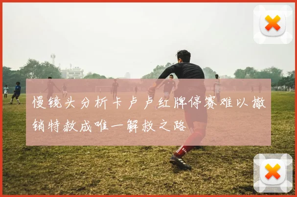 慢镜头分析卡卢卢红牌停赛难以撤销特赦成唯一解救之路