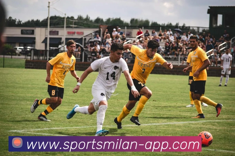 米兰体育APP 封面图